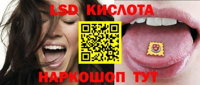 прущие грибы Краснодар