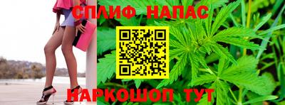 прущие грибы Краснодар