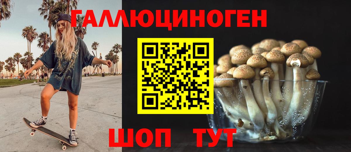 Киров  Псилоцибиновые грибы MAGIC MUSHROOMS  Галлюциногенные грибы GOLDEN TEACHER  Вход с VPN 